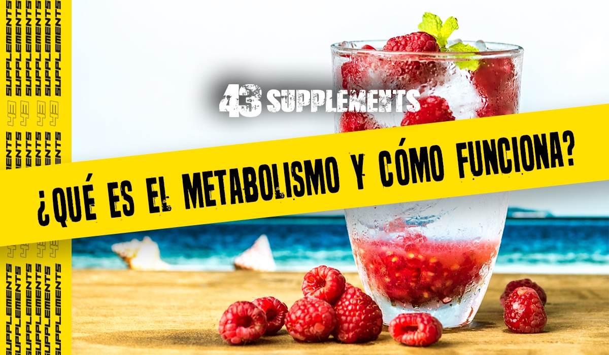 ¿Qué es el metabolismo y cómo funciona?